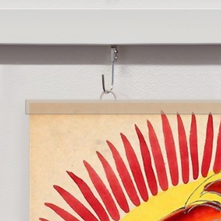 Basic 10KG Anchor Hook