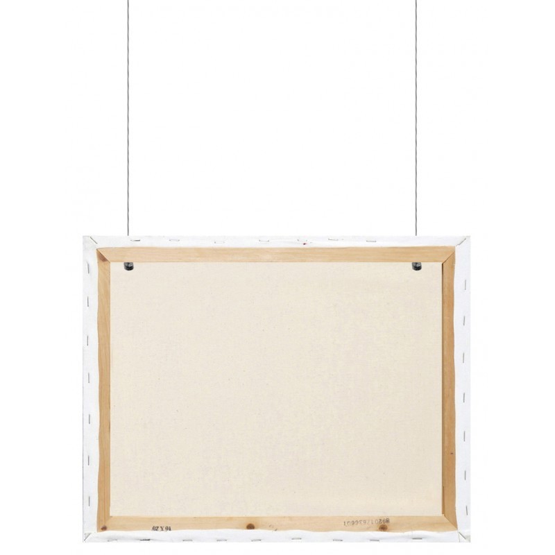 Canvas Board Steel Hanging Cable