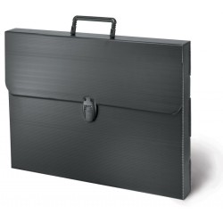 Artwork-Art Folder The Polylite Case